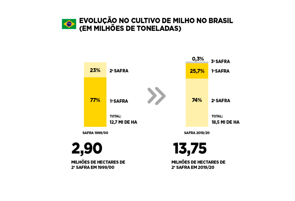 evolução no cultivo de milho segunda safra no Brasil