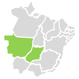 Região Centro-Oeste