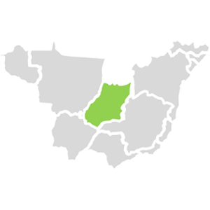 Região Centro-Oeste