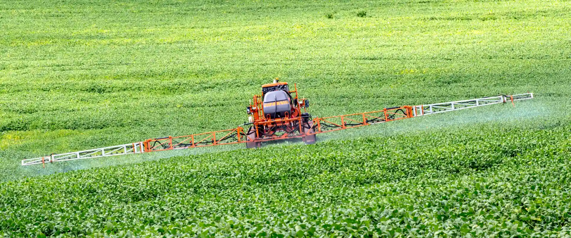 Aplicação de fungicida na soja