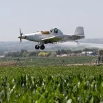 avião de pequeno porte realizando pulverização em lavoura de milho.