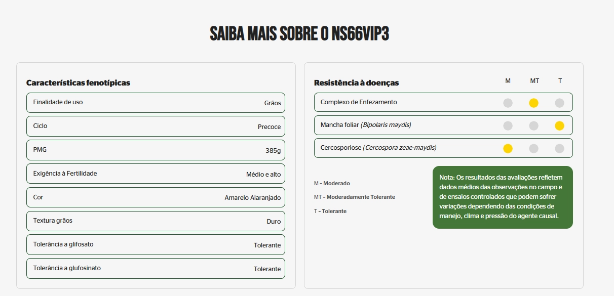 Saiba mais sobre o híbrido NS66VIP3